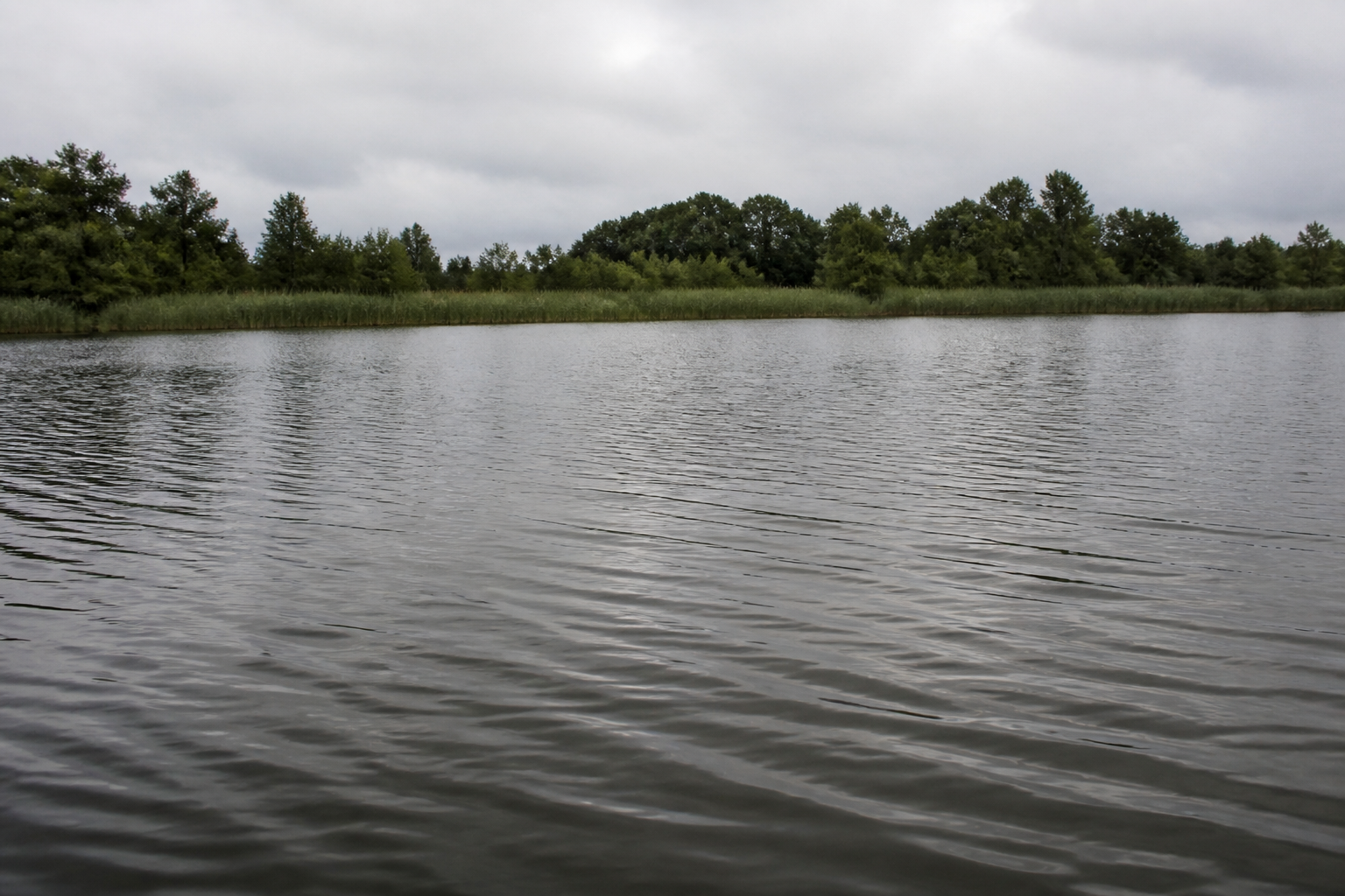 Ondulations de vent sur un lac de pêche à la carpe
